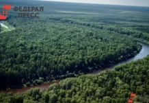 Алексей Кулеш утверждает, что семья Усольцевых не планировала побег aleksej kulesh utverzhdaet chto semya usolczevyh ne planirovala pobeg-obzone-su-0