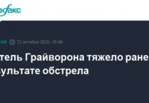 Белгородская область оказывает поддержку жителям Грайворона и обеспечивает безопасность belgorodskaya oblast okazyvaet podderzhku zhitelyam grajvorona i obespechivaet bezopasnost-obzone-su-0