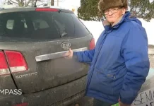 Дэвид Тернер с Острова Принца Эдуарда нашёл выход в Канаде в трудной ситуации devid terner s ostrova princza eduarda nashyol vyhod v kanade v trudnoj situaczii-obzone-su-0