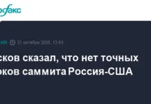 Дмитрий Песков рассказал о будущих планах Владимира Путина и Дональда Трампа dmitrij peskov rasskazal o budushhih planah vladimira putina i donalda trampa-obzone-su-0