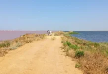 Экологи СПбГУ исследуют Евпаторийские озера Крыма для сохранения природного богатства ekologi spbgu issleduyut evpatorijskie ozera kryma dlya sohraneniya prirodnogo bogatstva-obzone-su-0