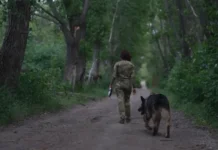 Фестиваль документального кино в Кургане знакомит с героями Донбасса festival dokumentalnogo kino v kurgane znakomit s geroyami donbassa-obzone-su-0