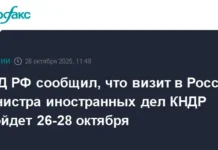 Глава МИД КНДР Чу Сон Хом посетил Россию для переговоров с Сергеем Лавровым glava mid kndr chu son hom posetil rossiyu dlya peregovorov s sergeem lavrovym-obzone-su-0