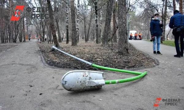 Гордума и «Безопасный город» объединяются для борьбы с вандализмом в Рязани-0