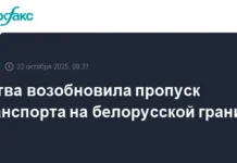 Госпогранкомитет Белоруссии сообщает о восстановлении движения на границе с Литвой gospogrankomitet belorussii soobshhaet o vosstanovlenii dvizheniya na granicze s litvoj-obzone-su-0