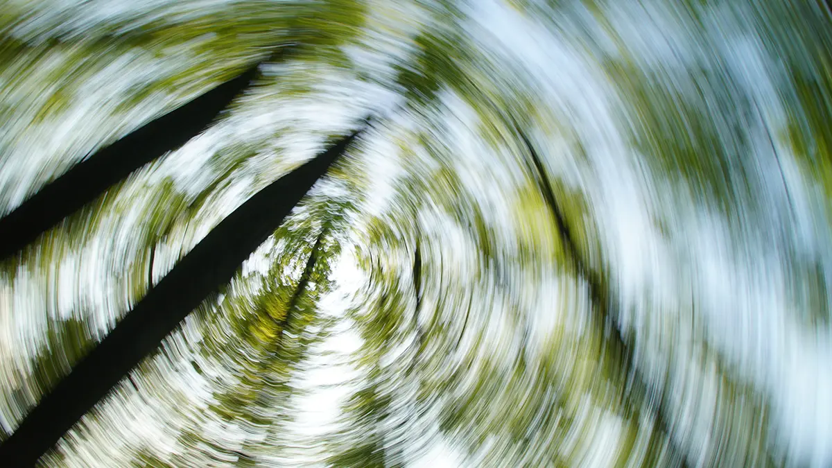 Контрактник сбежал в лес после ДТП с автобусом в Карелии