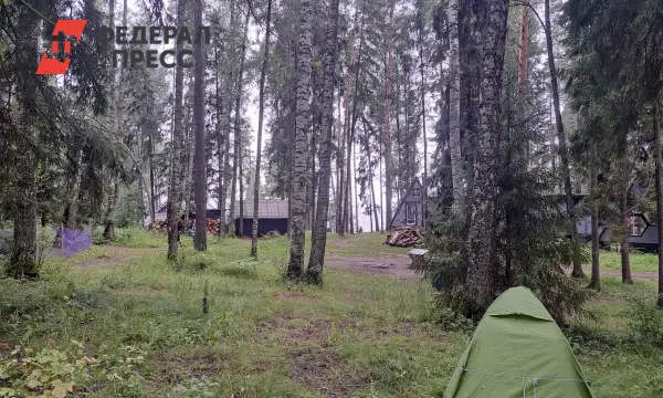 Михаил Котюков и Максим Решетников о развитии туризма в Красноярском крае и роли СФУ-0