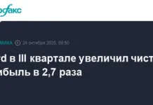 pribyl  v tretem kvartale znachitelno vozrosla chto povliyalo na akczii i vosstanovlenie -obzone-su-0