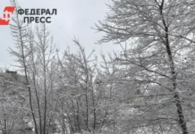 primorskij kraj gotovitsya k zime po prognozu primgidrometa-obzone-su-0