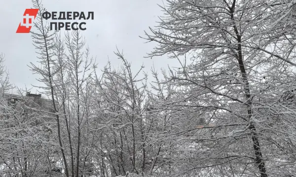 Приморский край готовится к зиме по прогнозу Примгидромета-0