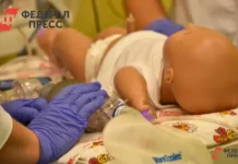 Приморский край объединяет усилия с Владивостокской епархией для роста рождаемости primorskij kraj obedinyaet usiliya s vladivostokskoj eparhiej dlya rosta rozhdaemosti-obzone-su-0