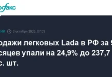 prodolzhaet uderzhivat liderstvo na rossijskom rynke v 2025 godu-obzone-su-0
