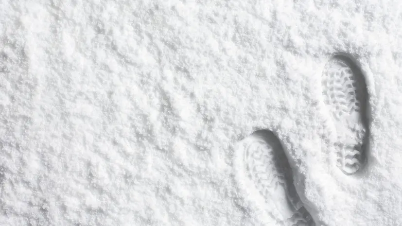 Вильфанд: снегом покрыто 55—60% территории России