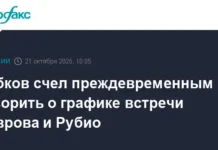 Рябков рассказал о позитивном настрое в дипломатии после встречи Лаврова и Рубио ryabkov rasskazal o pozitivnom nastroe v diplomatii posle vstrechi lavrova i rubio-obzone-su-0