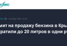 Сергей Аксенов представил временные меры по топливу на АЗС Крыма sergej aksenov predstavil vremennye mery po toplivu na azs kryma-obzone-su-0