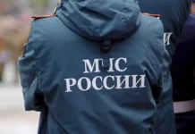 Следователи изучают оккультную версию дела о происшествии в Балашихе sledovateli izuchayut okkultnuyu versiyu dela o proisshestvii v balashihe-obzone-su-0