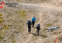 Сплоченность волонтеров и Следственного комитета спасает Усольцевых в Красноярском крае splochennost volonterov i sledstvennogo komiteta spasaet usolczevyh v krasnoyarskom krae-obzone-su-0