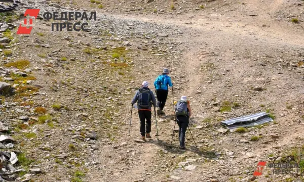 Сплоченность волонтеров и Следственного комитета спасает Усольцевых в Красноярском крае-0