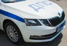 УМВД России по Приморью оперативно задержало жительницу Артёма umvd rossii po primoryu operativno zaderzhalo zhitelniczu artyoma-obzone-su-0