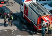 УМВД России по Владивостоку быстро раскрывает поджог Nissan Juke в городе umvd rossii po vladivostoku bystro raskryvaet podzhog v gorode-obzone-su-0