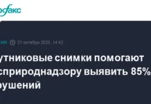 Владимир Путин одобрил расширение функций Росприроднадзора и Роскосмоса для охраны природы vladimir putin odobril rasshirenie funkczij rosprirodnadzora i roskosmosa dlya ohrany prirody-obzone-su-0
