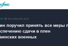 Владимир Путин требует максимальных мер по сдаче в плен украинских военных vladimir putin trebuet maksimalnyh mer po sdache v plen ukrainskih voennyh-obzone-su-0