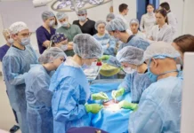 Врачи ККБ №2 восстановили зрение детям, пострадавшим от животных vrachi kkb 2 vosstanovili zrenie detyam postradavshim ot zhivotnyh-obzone-su-0