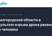 Вячеслав Гладков рассказал о последствиях взрыва FPV-дрона в Грайвороне vyacheslav gladkov rasskazal o posledstviyah vzryva drona v grajvorone-obzone-su-0