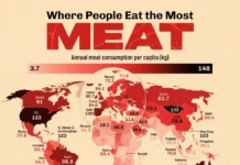 Аргентина занимает первое место в мировом рейтинге потребления мяса argentina zanimaet pervoe mesto v mirovom rejtinge potrebleniya myasa-obzone-su-0