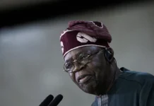 Бола Тинубу и Дональд Трамп ведут переговоры о мире в Нигерии bola tinubu i donald tramp vedut peregovory o mire v nigerii-obzone-su-0