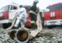 Департамент природы Ямала и Великоанадольский лесхоз ДНР укрепляют защиту лесов departament prirody yamala i velikoanadolskij leshoz dnr ukreplyayut zashhitu lesov-obzone-su-0