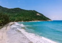 geroicheskij postupok sagi mora na ostrove pangan v tailande-obzone-su-0