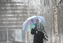 Гидрометцентр России предупреждает о готовности московских служб к изменениям погоды gidrometczentr rossii preduprezhdaet o gotovnosti moskovskih sluzhb k izmeneniyam pogody-obzone-su-0