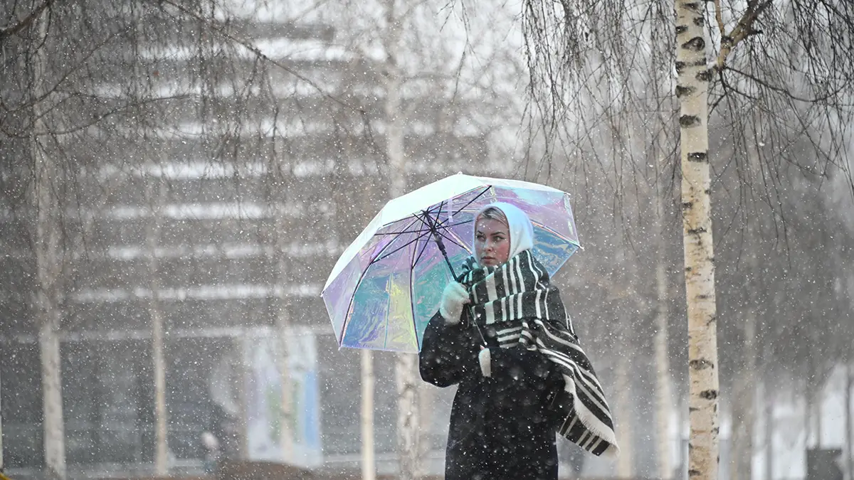 Городские службы перевели в режим повышенной готовности из-за предстоящей непогоды