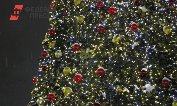 Хабаровск порадует сказочным сиянием в новогоднем преображении Парка «Динамо»-0