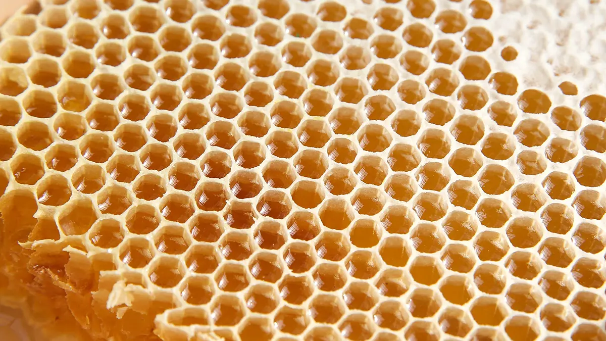 Народные приметы на 5 ноября