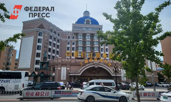 Китайские таможенники усилили контроль, опираясь на опыт Зульфии Ц. и Ларисы О.-0