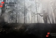 МЧС России и Приморский край увеличивают меры по охране лесов от пожаров mchs rossii i primorskij kraj uvelichivayut mery po ohrane lesov ot pozharov-obzone-su-0