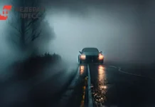 mchs rossii preduprezhdaet o tumane i morozah v sanktpeterburge i lenoblasti-obzone-su-0