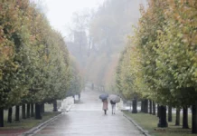 Москва и Московская область ожидают туман и тёплый ноябрь, прогнозы метеорологов moskva i moskovskaya oblast ozhidayut tuman i tyoplyj noyabr prognozy meteorologov-obzone-su-0