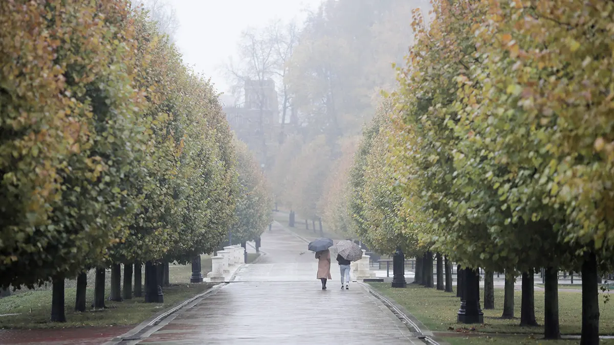 «Желтый» уровень опасности из-за тумана объявлен в Москве в ночь на 2 ноября