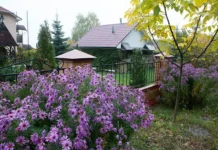 Основные аспекты ГПЗУ и ЕЮС в строительстве дач в России osnovnye aspekty gpzu i eyus v stroitelstve dach v rossii-obzone-su-0