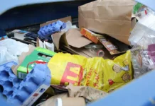 Российский экологический оператор и Рашид Исмаилов добились новых успехов в переработке отходов rossijskij ekologicheskij operator i rashid ismailov dobilis novyh uspehov v pererabotke othodov-obzone-su-0