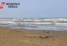 rossijskoe posolstvo v londone prokommentirovalo zayavleniya dzhona hilli o sudne yantar-obzone-su-0