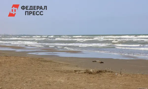 Российское посольство в Лондоне прокомментировало заявления Джона Хилли о судне «Янтарь»-0