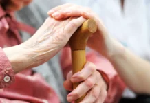 Социальный фонд России рассказал о пенсионерах и росте средней пенсии soczialnyj fond rossii rasskazal o pensionerah i roste srednej pensii-obzone-su-0