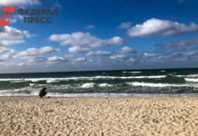 sovet federaczii rossii napomnil shveczii o poltavskoj bitve-obzone-su-0