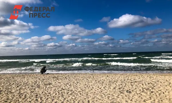 Совет Федерации России напомнил Швеции о Полтавской битве-0