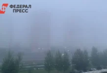 Удивительный туман в Москве создает загадочную атмосферу раннего утра udivitelnyj tuman v moskve sozdaet zagadochnuyu atmosferu rannego utra-obzone-su-0