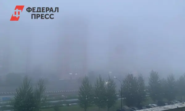 Удивительный туман в Москве создает загадочную атмосферу раннего утра-0